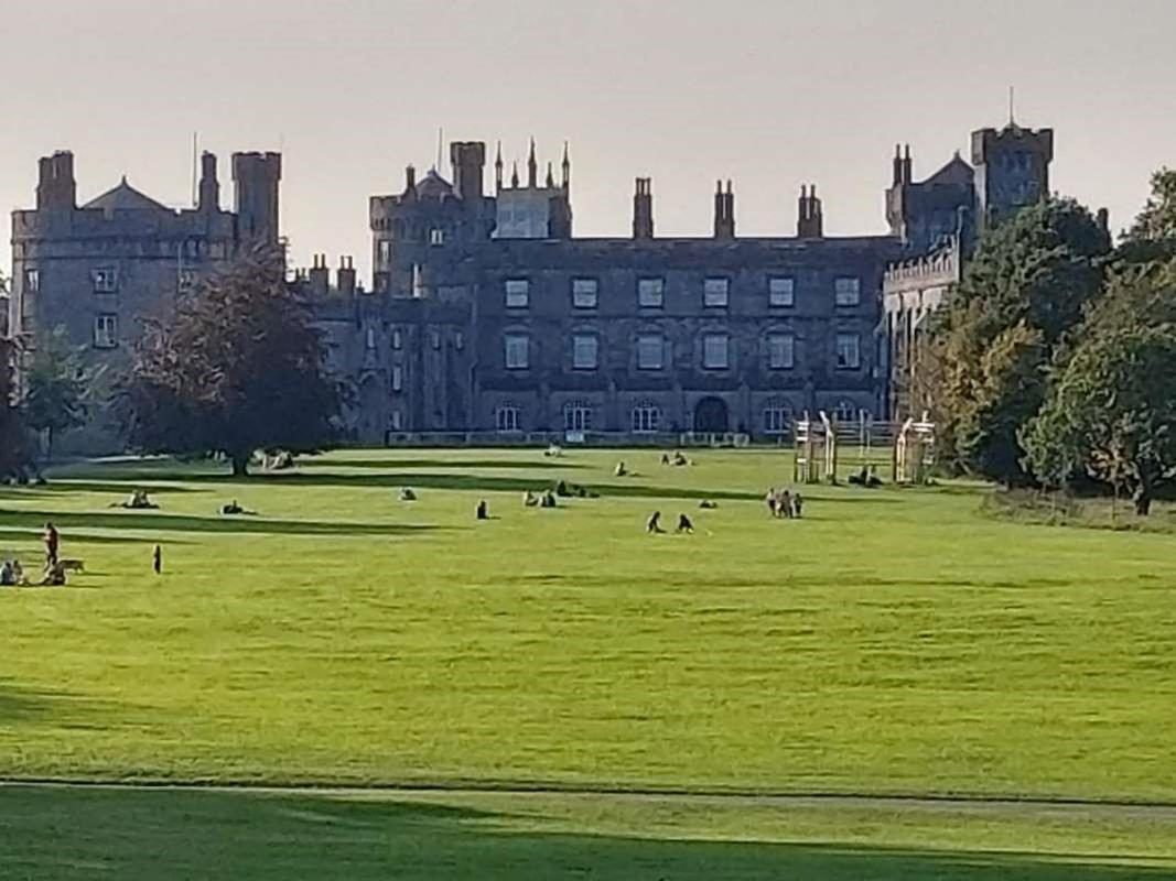 Castle Lodge B&B 基尔根尼 外观 照片