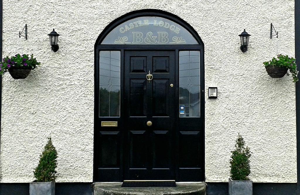 Castle Lodge B&B 基尔根尼 客房 照片